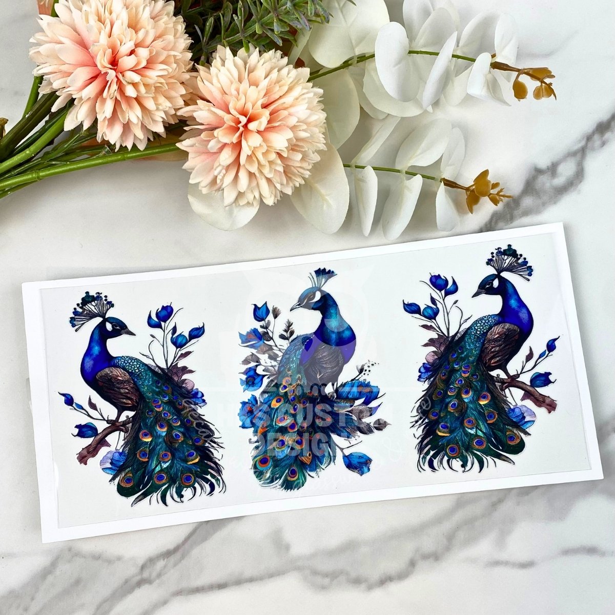 Peacock | 16 oz UV DTF Wrap