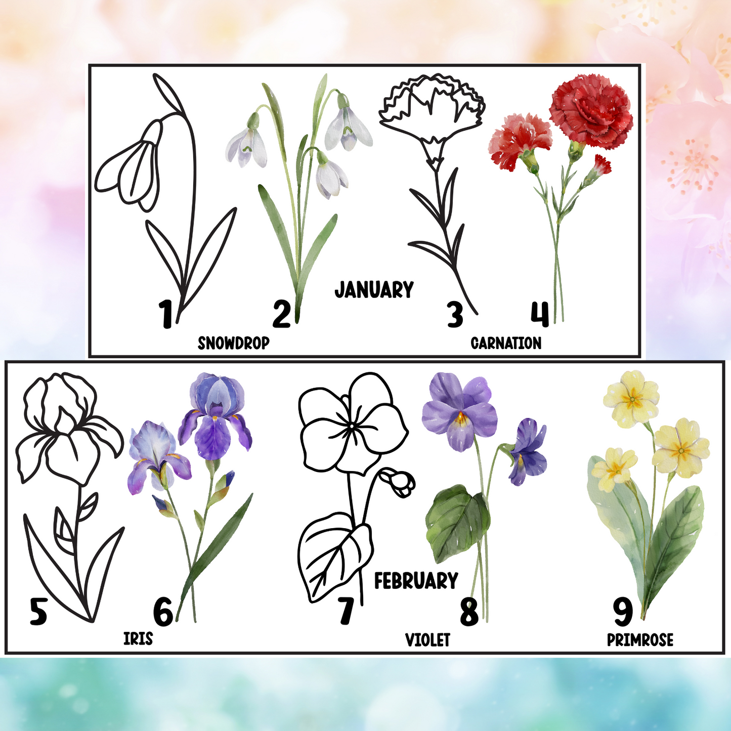 Birth Month Flowers | 4" UV DTF Decal