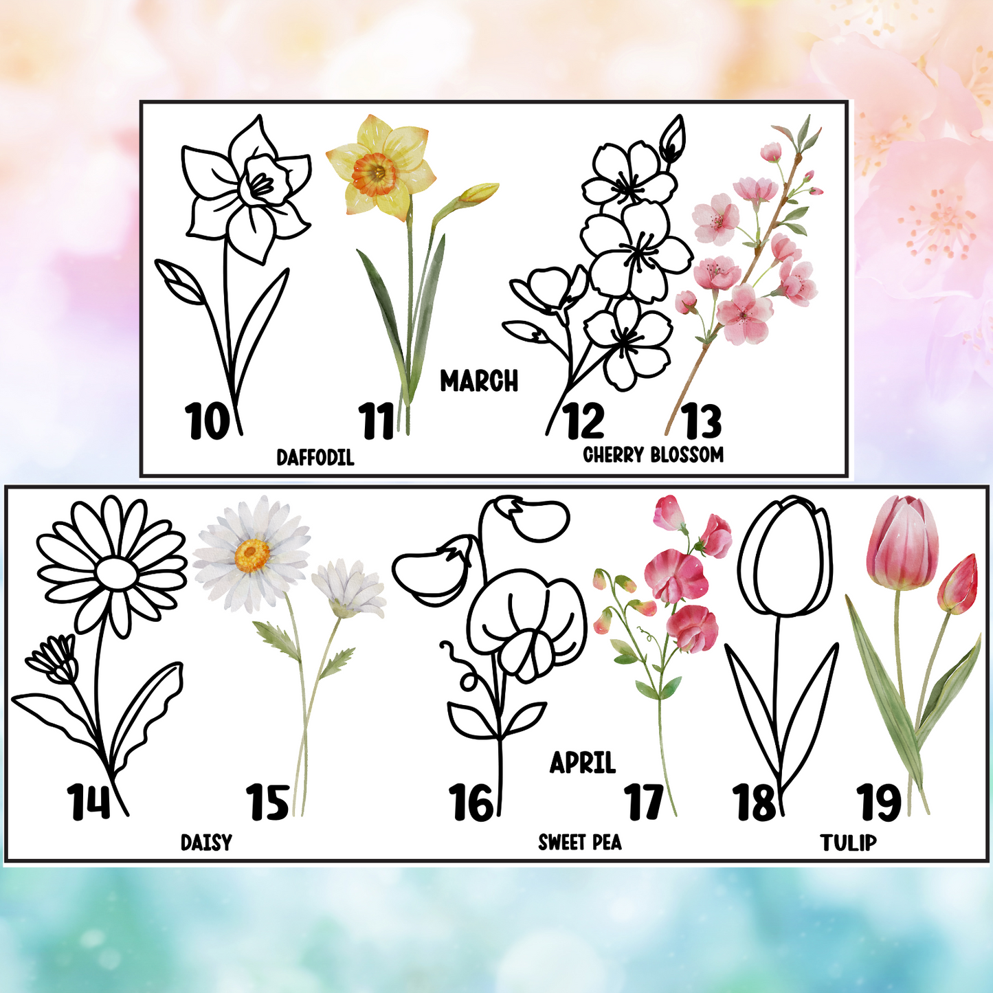Birth Month Flowers | 4" UV DTF Decal