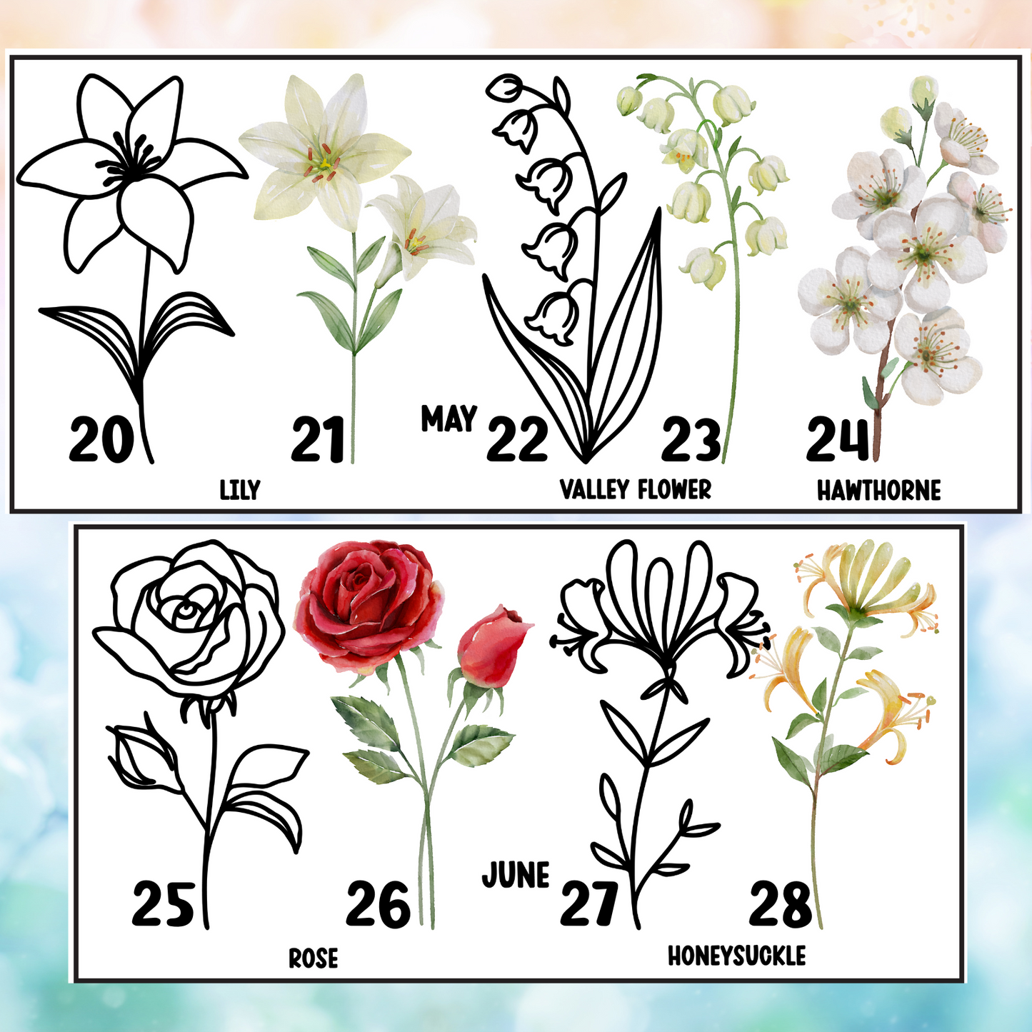 Birth Month Flowers | 4" UV DTF Decal