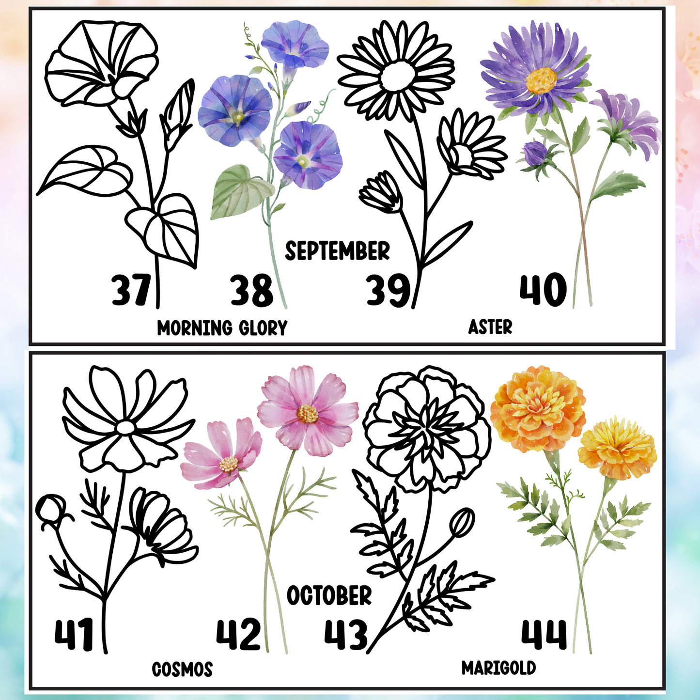 Birth Month Flowers | 4" UV DTF Decal