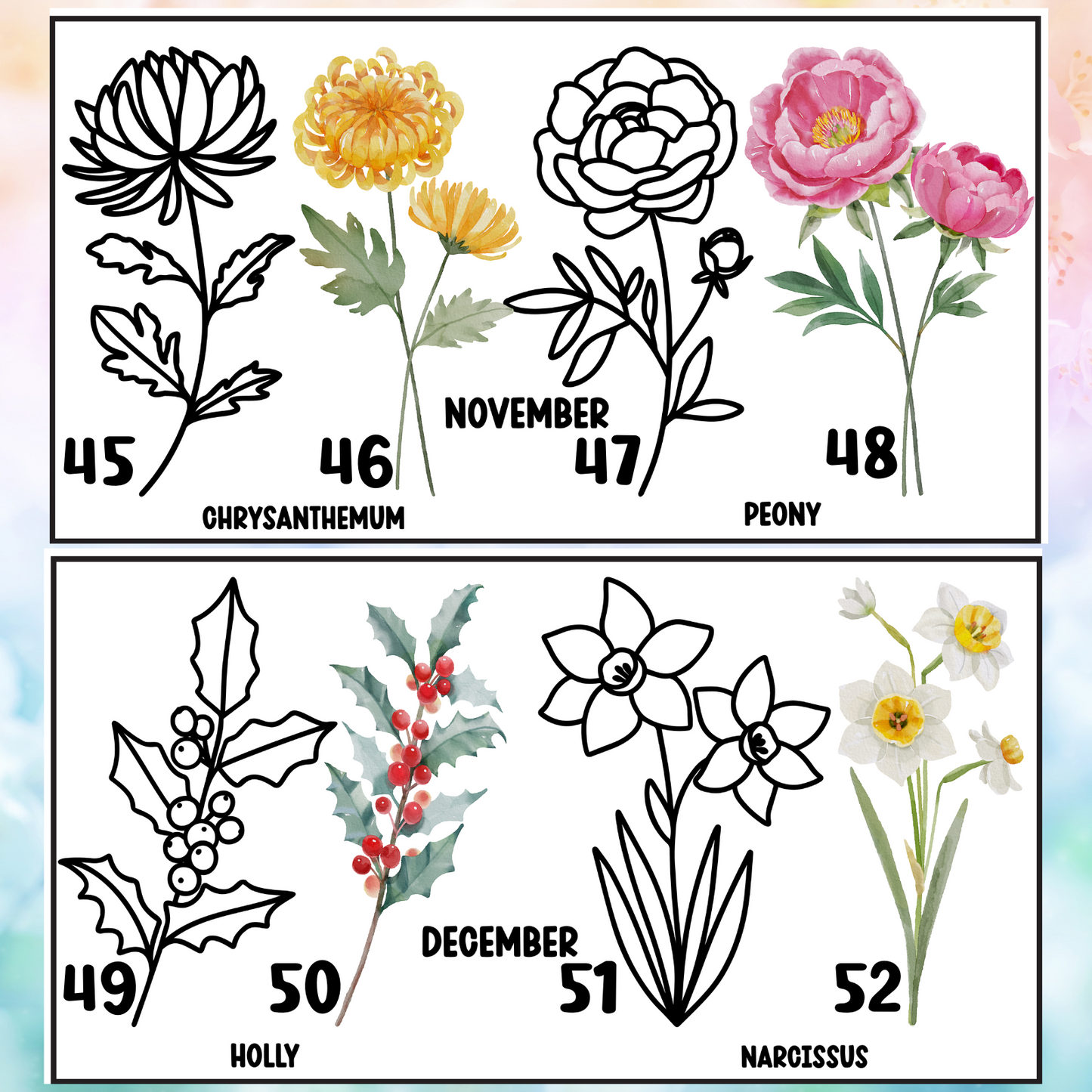 Birth Month Flowers | 4" UV DTF Decal