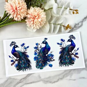 Peacock | 16 oz UV DTF Wrap