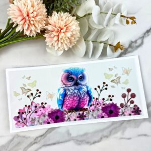 Blue/Pink Owl