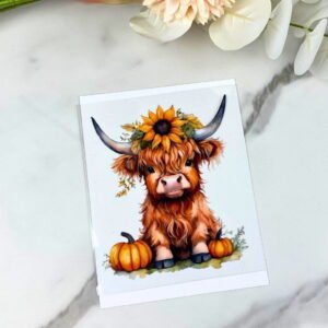 Highland Cow
