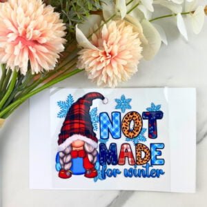 Not Made for Winter Gnome