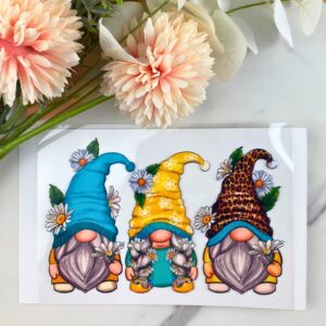 Daisy Gnome