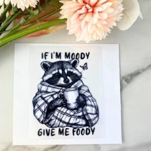 If I'm Moody Give Me Foody (raccoon) | 4" UV DTF Decal